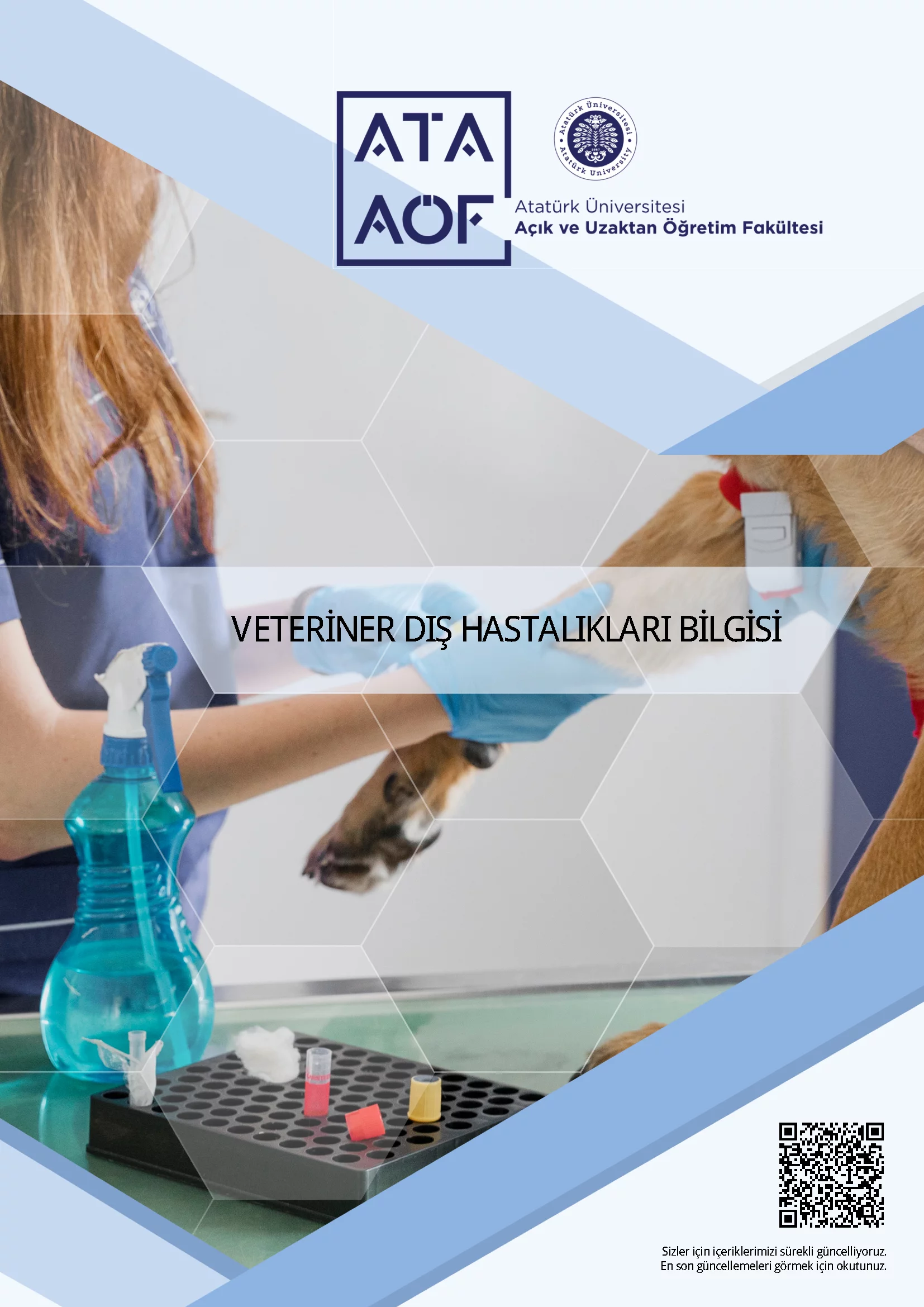 Veteriner Dış Hastalıkları Bilgisi